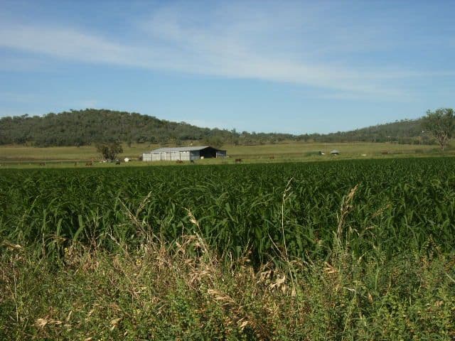 75 Beauaraba Road, SOUTHBROOK QLD 4363, Southbrook - Image 1