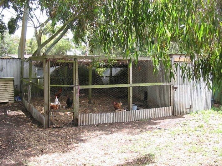 408 and 409 Guerin Lane, GLENCOE SA 5291, Glencoe - Thumbnail 6