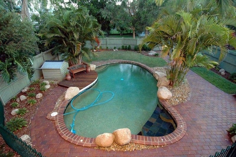 17 Rees Avenue, COORPAROO QLD 4151, Coorparoo - Thumbnail 5