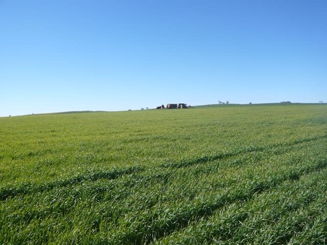 ROBERTSTOWN SA 5381, Robertstown - Image 1