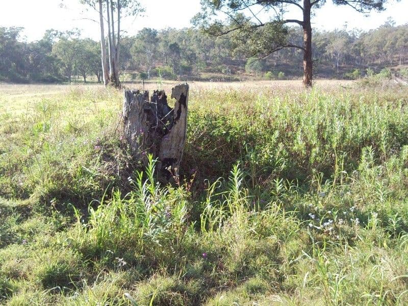 4 Kenrick Street, Gordonvale, QLD, 4865, Gordonvale - Thumbnail 2