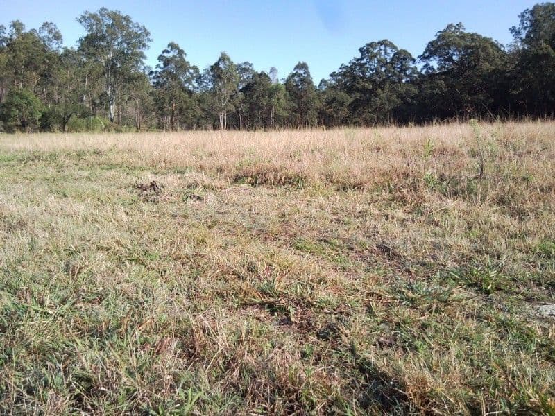 4 Kenrick Street, Gordonvale, QLD, 4865, Gordonvale - Thumbnail 3