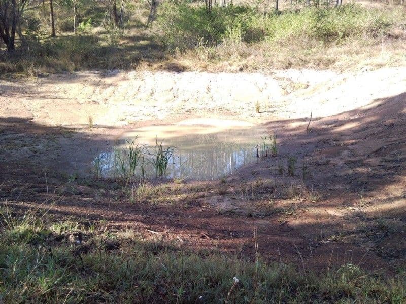 4 Kenrick Street, Gordonvale, QLD, 4865, Gordonvale - Thumbnail 5