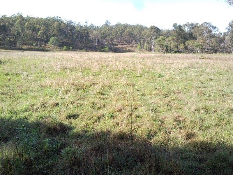 4 Kenrick Street, Gordonvale, QLD, 4865, Gordonvale - Thumbnail 6