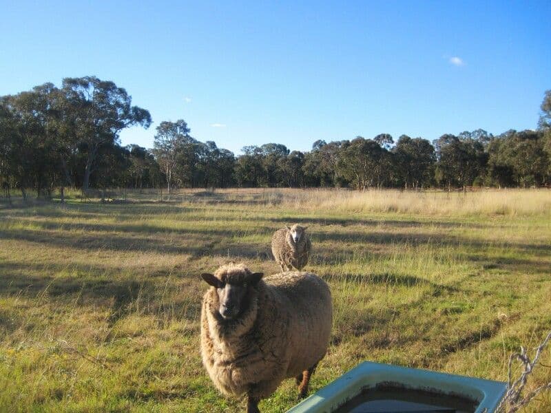CASTLEREAGH NSW 2749, Castlereagh - Image 1
