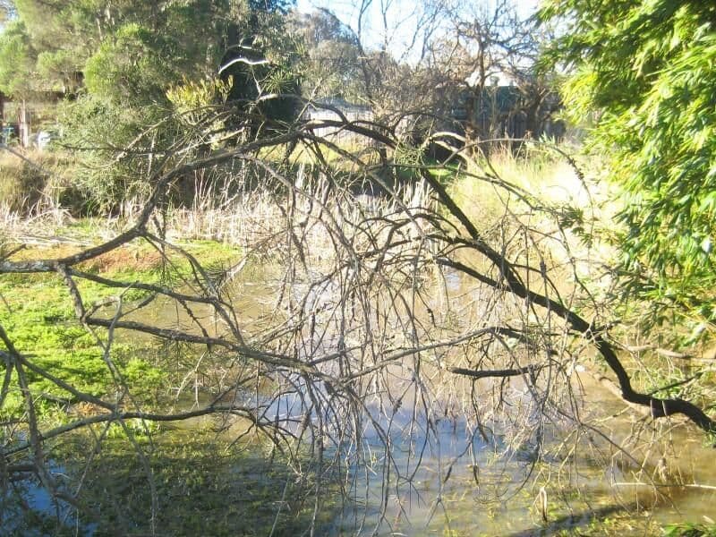 CASTLEREAGH NSW 2749, Castlereagh - Thumbnail 5
