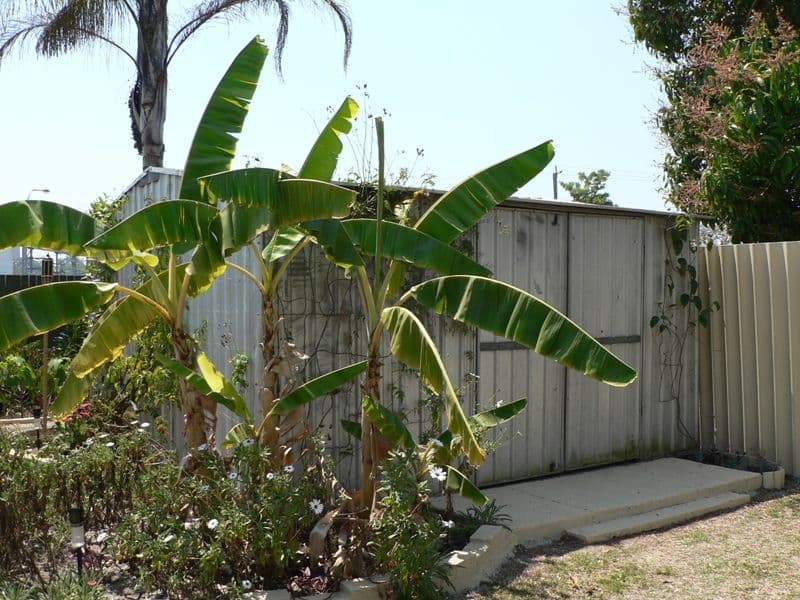 12 Alpita Street, KURABY QLD 4112, Kuraby - Thumbnail 8