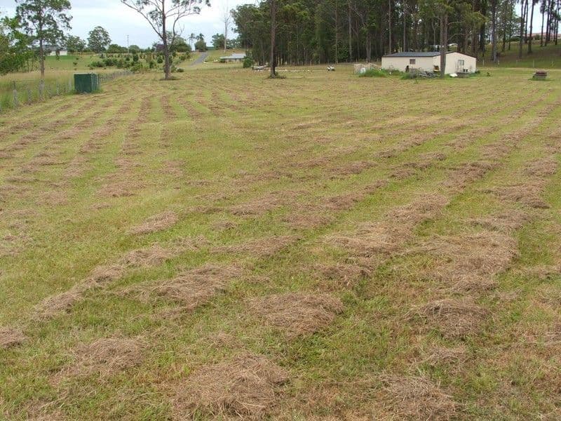 22 Wallaby Dr, Gumma, MACKSVILLE NSW 2447, Macksville - Image 1