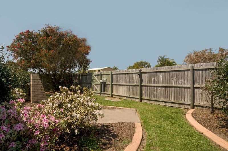11 Browning Boulevard, BATTERY HILL QLD 4551, Battery Hill - Thumbnail 8