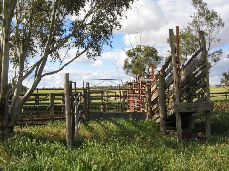 "Wooloogla" Serviceton North Road, TELOPEA DOWNS VIC 3420, Telopea Downs - Thumbnail 4