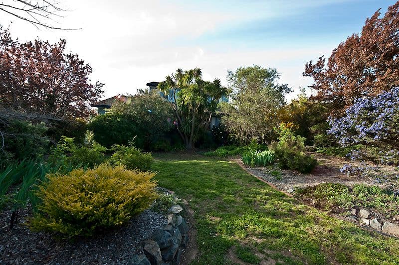 13 Enderby Street, MAWSON ACT 2607, Mawson - Image 1