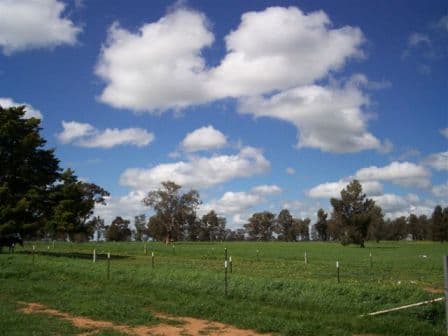 1 "Langrove" ~ LOWESDALE, COROWA NSW 2646, Corowa - Thumbnail 5