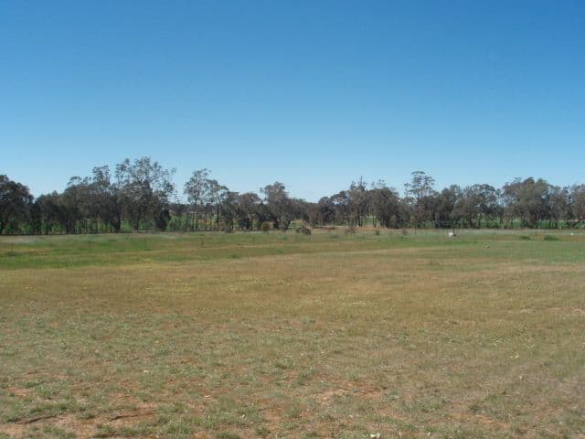 Burke Street, MANGOPLAH NSW 2652, Mangoplah - Image 1