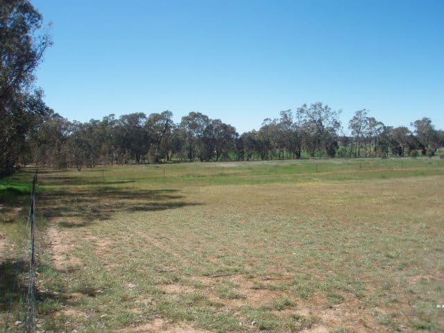 Burke Street, MANGOPLAH NSW 2652, Mangoplah - Thumbnail 2