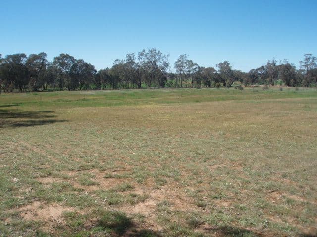 Burke Street, MANGOPLAH NSW 2652, Mangoplah - Thumbnail 3