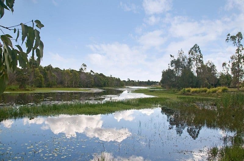 714/430 Marine Parade, Biggera Waters, QLD, 4216, Biggera Waters - Thumbnail 5