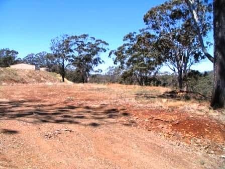 14 Challenger Court, Cooloola Cove, QLD, 4580, Cooloola Cove - Image 1