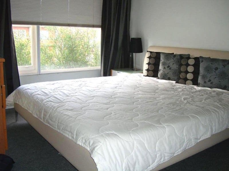 43 Livingstone Road, PETERSHAM NSW 2049, Petersham - Thumbnail 5