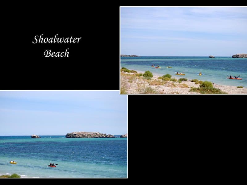 108B Arcadia Drive, SHOALWATER WA 6169, Shoalwater - Thumbnail 2
