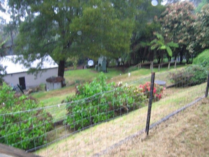 6 Walpole Street, Corinella, VIC, 3984, Corinella - Thumbnail 3