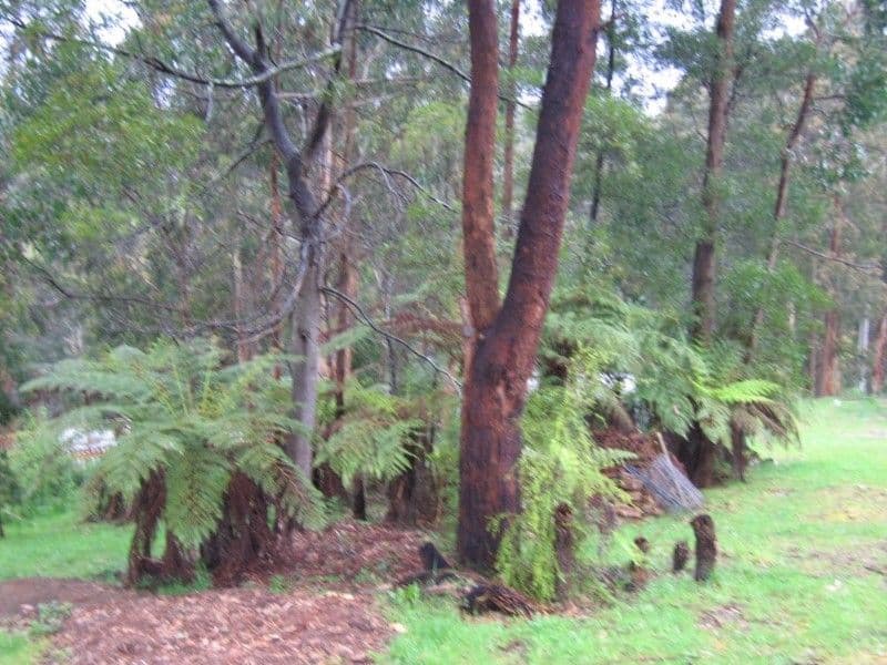 6 Walpole Street, Corinella, VIC, 3984, Corinella - Thumbnail 5