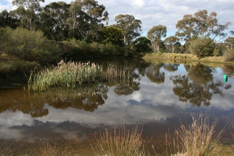 THIRLMERE NSW 2572, Thirlmere - Thumbnail 5