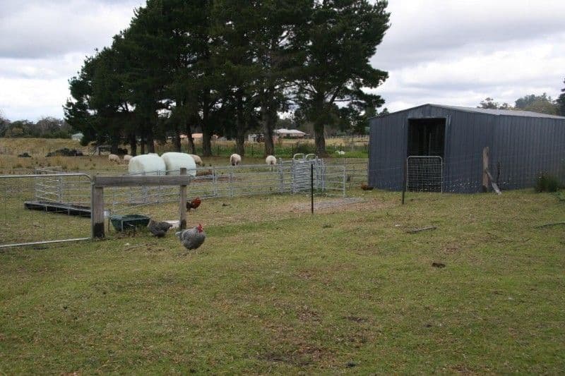 THIRLMERE NSW 2572, Thirlmere - Thumbnail 6