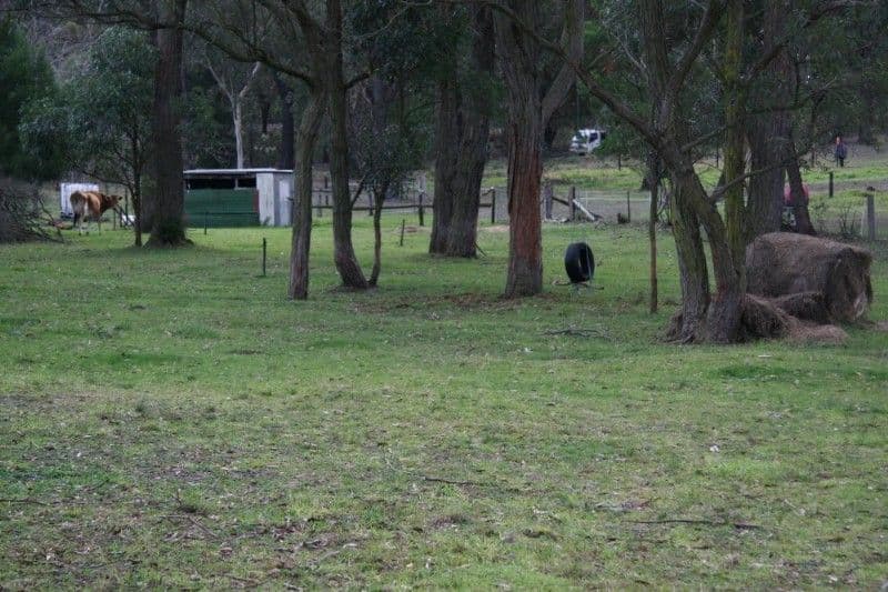 THIRLMERE NSW 2572, Thirlmere - Thumbnail 7