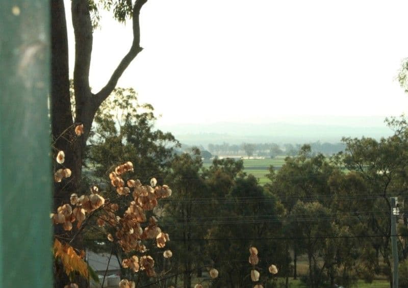 REGENCY DOWNS QLD 4341, Regency Downs - Thumbnail 3