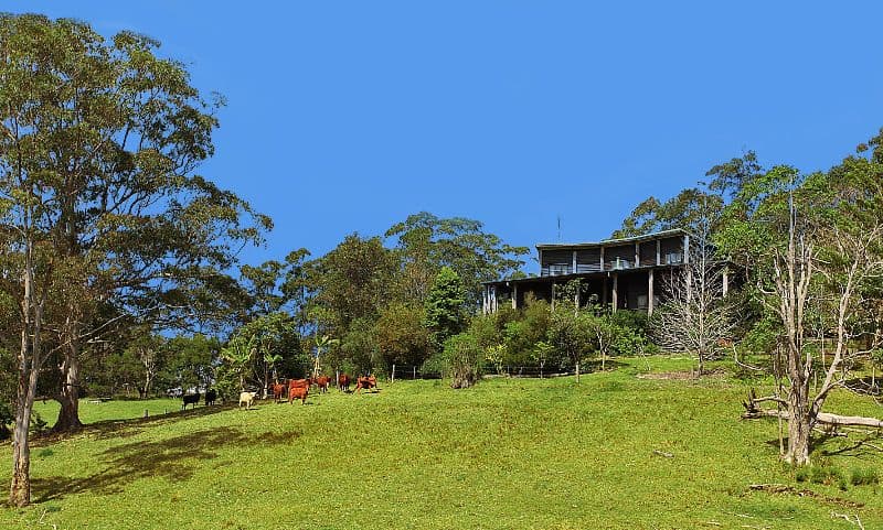 MALENY QLD 4552, Maleny - Thumbnail 6