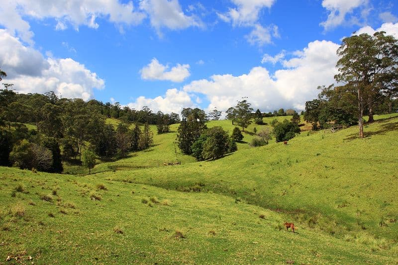 MALENY QLD 4552, Maleny - Thumbnail 7