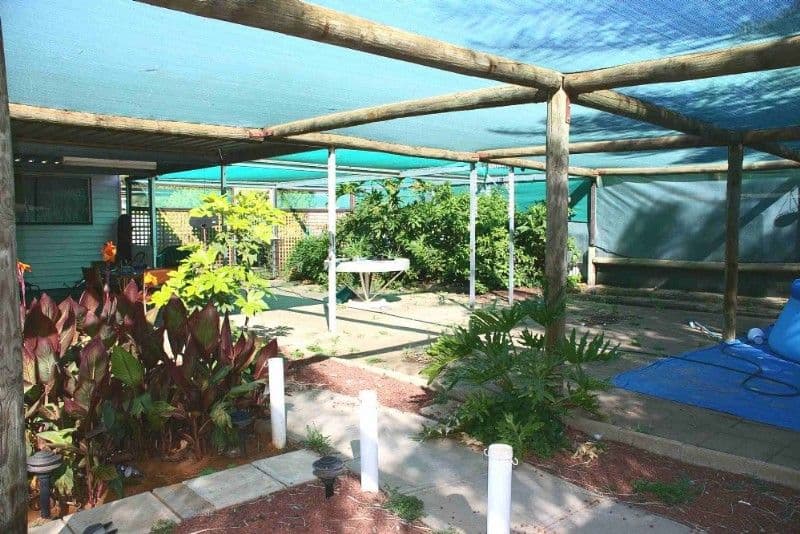 61 Tenth Street, RENMARK SA 5341, Renmark - Thumbnail 7