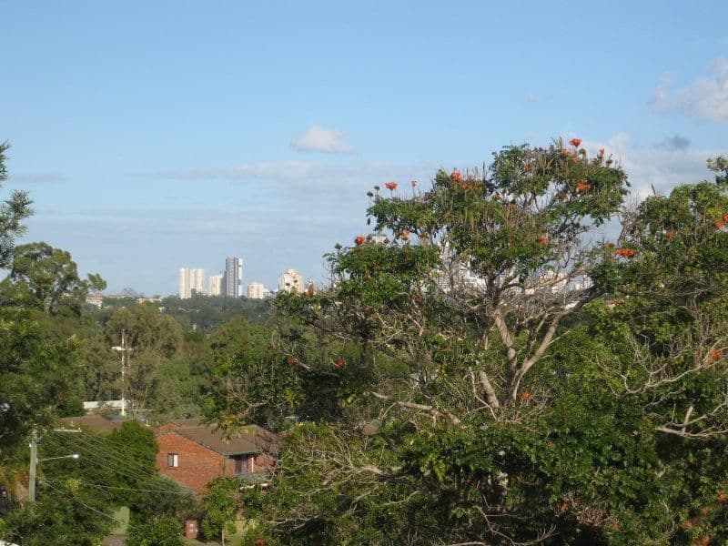  51 Frederick Street, ALDERLEY QLD 4051, Alderley - Thumbnail 2