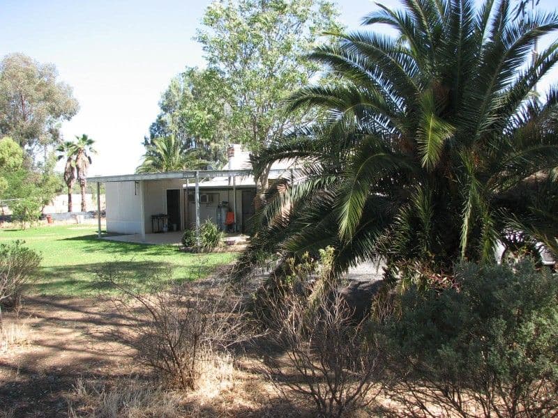 "Mystery Park" Muscat Street, FORBES NSW 2871, Forbes - Image 1