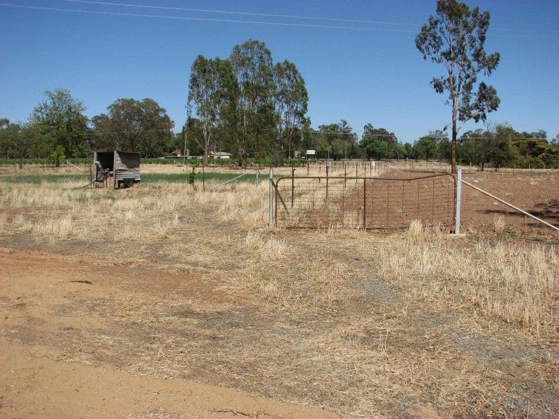 "Mystery Park" Muscat Street, FORBES NSW 2871, Forbes - Thumbnail 3