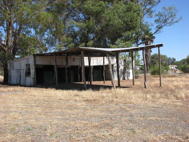 "Mystery Park" Muscat Street, FORBES NSW 2871, Forbes - Thumbnail 4