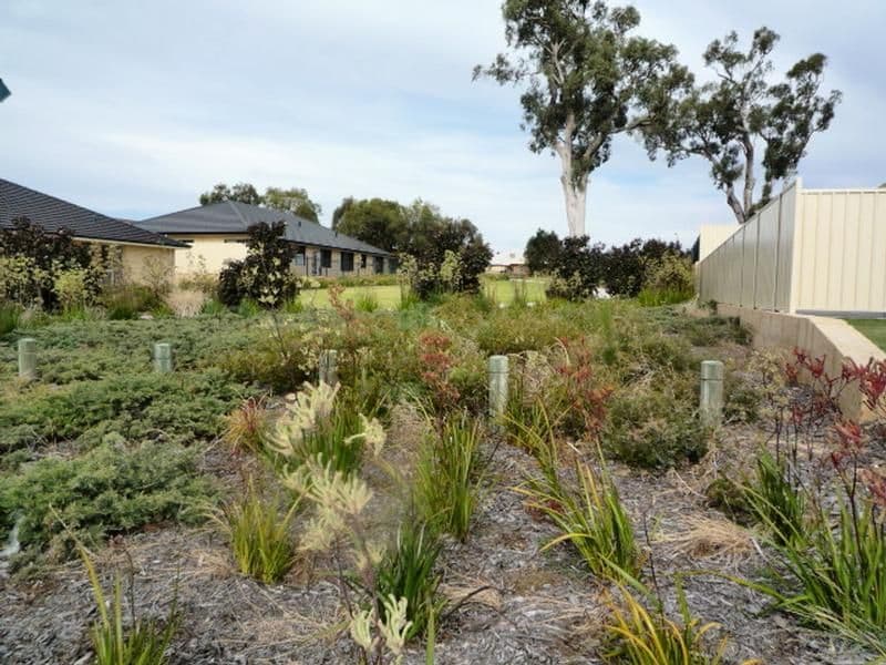 7 Dyer Link, BALDIVIS WA 6171, Baldivis - Thumbnail 3