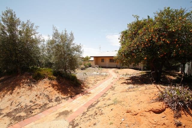 45 Wodonga Avenue, LOXTON SA 5333, Loxton - Thumbnail 3