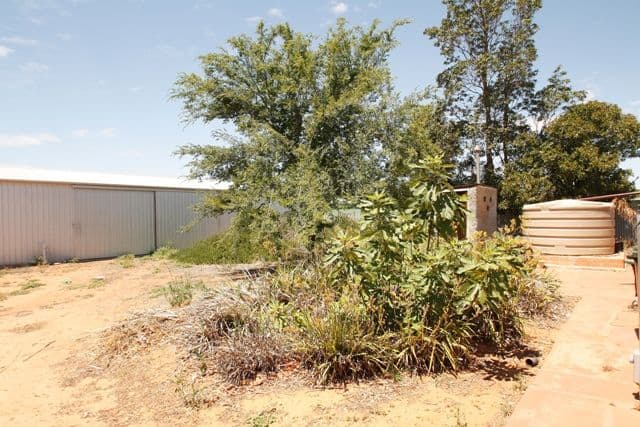 45 Wodonga Avenue, LOXTON SA 5333, Loxton - Thumbnail 4