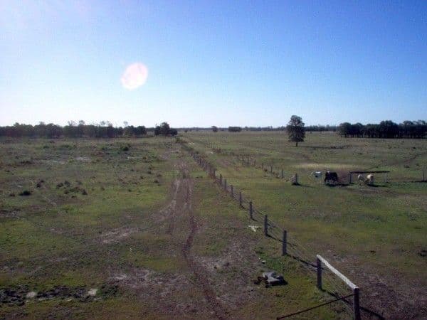 Lot 6 Pelican Back Road, BURNCLUITH QLD 4413, Burncluith - Thumbnail 2