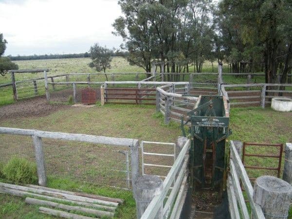 Lot 6 Pelican Back Road, BURNCLUITH QLD 4413, Burncluith - Thumbnail 3
