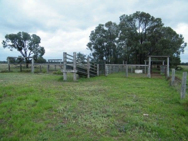 Lot 6 Pelican Back Road, BURNCLUITH QLD 4413, Burncluith - Thumbnail 6