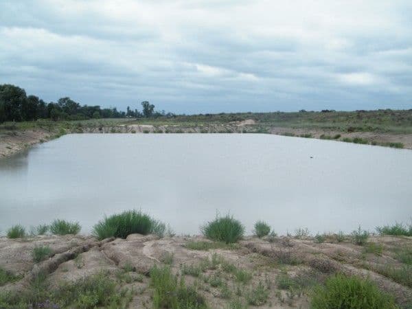 Lot 6 Pelican Back Road, BURNCLUITH QLD 4413, Burncluith - Thumbnail 7