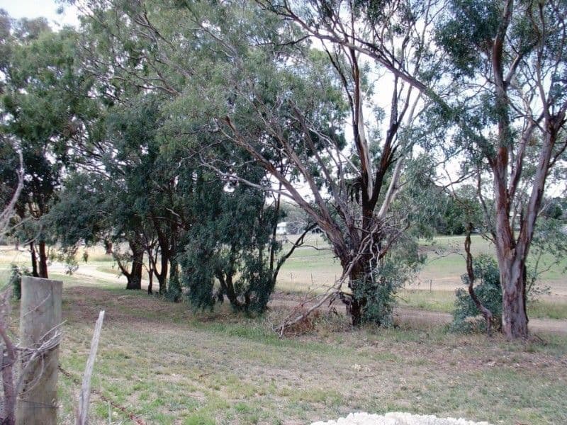 62 Stephen Street, BINALONG NSW 2584, Binalong - Image 1