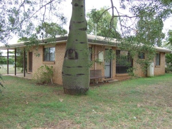 65  Park Street, CHINCHILLA QLD 4413, Chinchilla - Thumbnail 5