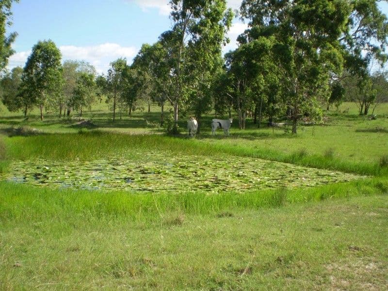 GIN GIN QLD 4671, Gin Gin - Thumbnail 7