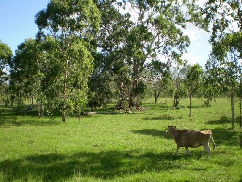 GIN GIN QLD 4671, Gin Gin - Thumbnail 8