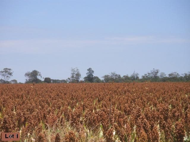 Yarranvale Gore Highway, PITTSWORTH QLD 4356, Pittsworth - Thumbnail 6