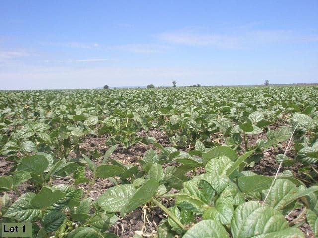 Yarranvale Gore Highway, PITTSWORTH QLD 4356, Pittsworth - Thumbnail 7