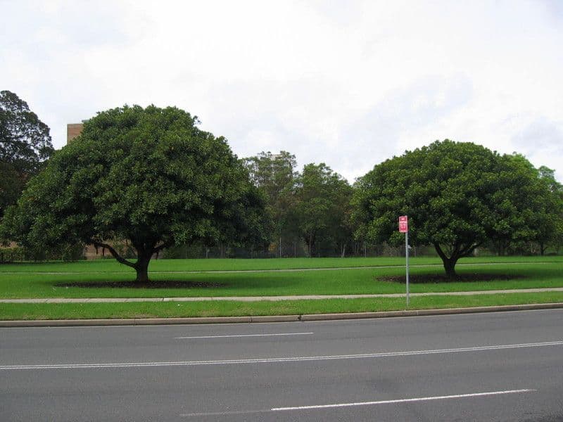 48 Hassall Street, PARRAMATTA NSW 2150, Parramatta - Thumbnail 4